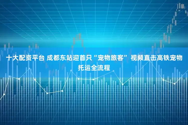 十大配资平台 成都东站迎首只“宠物旅客” 视频直击高铁宠物托运全流程