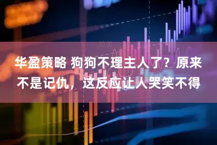 华盈策略 狗狗不理主人了？原来不是记仇，这反应让人哭笑不得