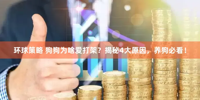 环球策略 狗狗为啥爱打架？揭秘4大原因，养狗必看！