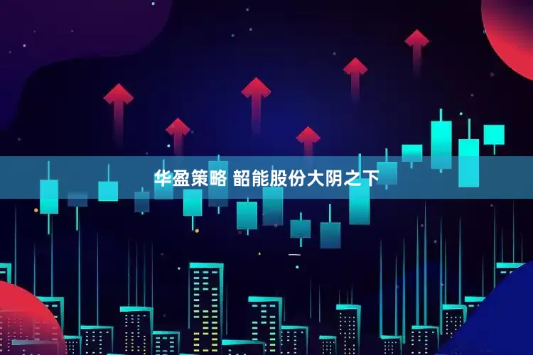 华盈策略 韶能股份大阴之下
