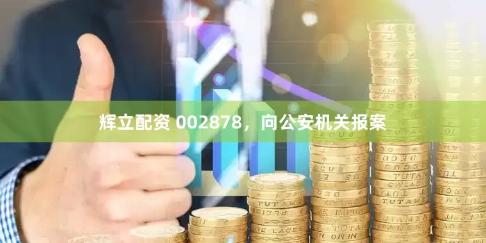 辉立配资 002878，向公安机关报案