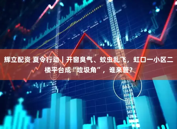 辉立配资 夏令行动｜开窗臭气、蚊虫乱飞，虹口一小区二楼平台成“垃圾角”，谁来管？