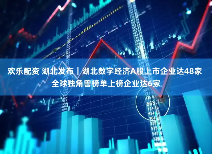 欢乐配资 湖北发布︱湖北数字经济A股上市企业达48家 全球独角兽榜单上榜企业达6家