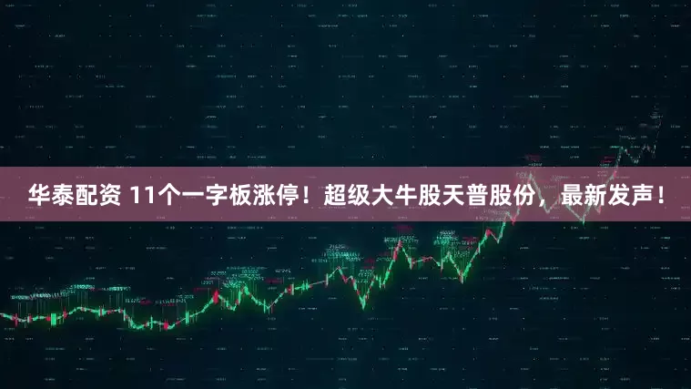 华泰配资 11个一字板涨停！超级大牛股天普股份，最新发声！
