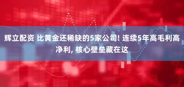 辉立配资 比黄金还稀缺的5家公司! 连续5年高毛利高净利, 核心壁垒藏在这
